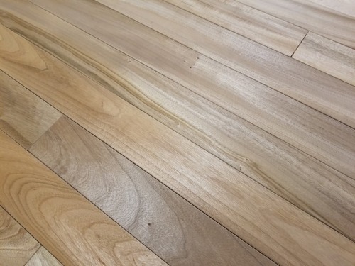 ʼ������̵������ʪ�ե�����󥰣�