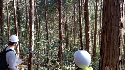 ¸¦½¤²ñ¤Î»³£³