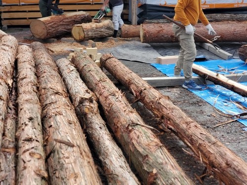 ÈôÂͤδÝÂÀ Èé¤à¤£±£°