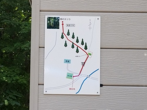 ƶ�Υ��ĥ顡11