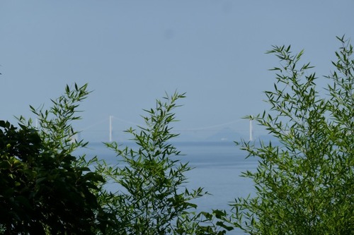 志々島の大くす36
