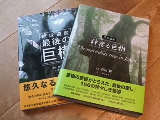 ������ܡ���