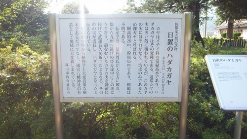 ���֤Υϥ������䣳