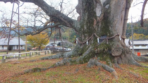 ��֤��祱�䥭�����С�����󡡣�