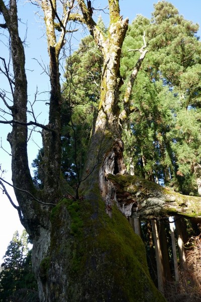 ���Ĥλҥȥ��Υ���