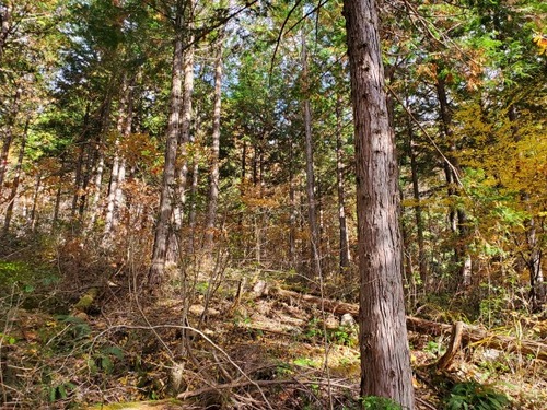 ���ͤ��־� �������ȣ�