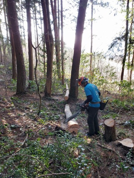 ������������������֤�����Ȳ�μ��� 2023 ��