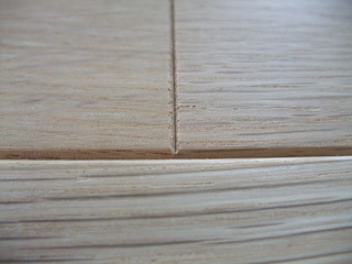 ����������������̵���ե�����󥰡�V���쥯����󥰥졼�ɣ�