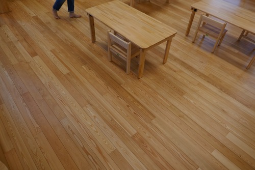 ԥ奢顼̵ʪե󥰡ץߥ졼 룸