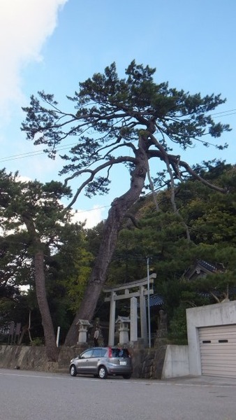 ��ָ����ȿ��Ҥξ���