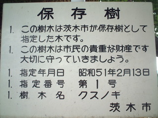 ¿åÈø¤Î¾À¡¡£³