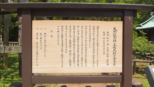 ������Ҥζ��ںԡ���