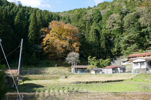 �����ƽФΥ��ĥ顡����