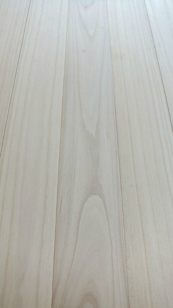 �͡ʥ��������̵������ʪ�ե�����󥰣�