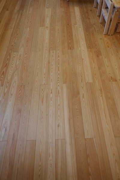 ԥ奢顼̵ʪե󥰡ץߥ졼 룳