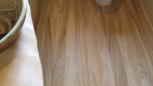 ʼ���ʤĤ��Τ����Τ�������̵������ʪ�ե������ 17