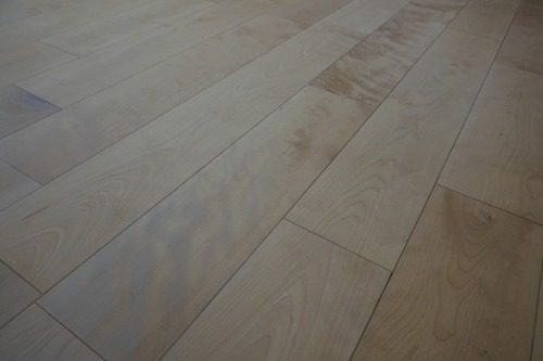 С(С̵ĤʤV¥ե󥰻ܹ 5