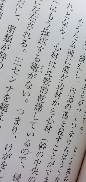 ���������ʤ뼫�����ϣ�
