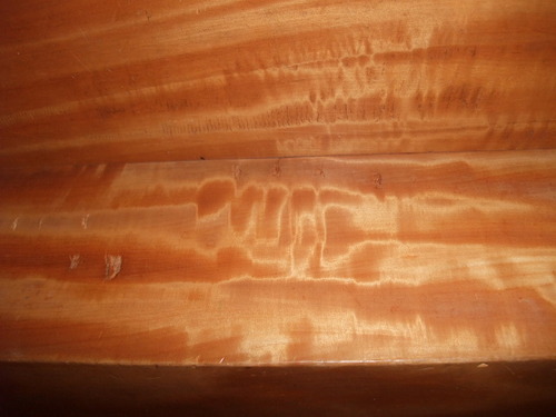 ÅÉÁõºÑ¤ß¡¡ÆÊ¤ÎÌÝ