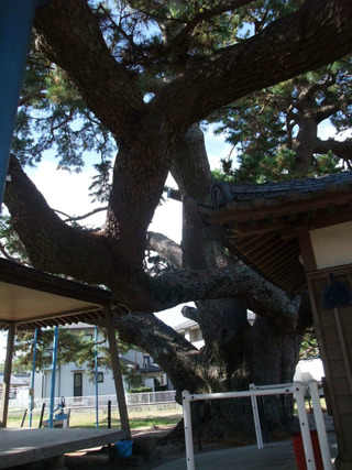 ��¢¿������