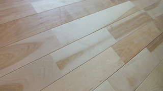 ¥ê¥Õ¥ê¡¼¥Ð¡¼¥Á¡¡£±£±