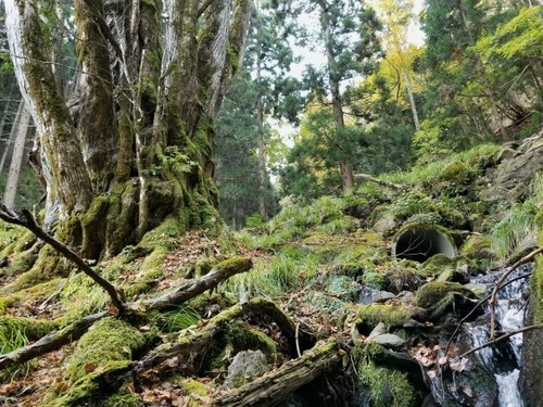 ʼ�˸������ ����祫�ĥ� 10