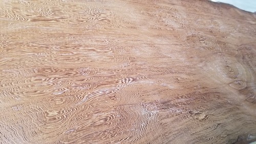 ��������¼�ŷ����