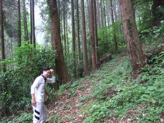 �Ҥ�������������