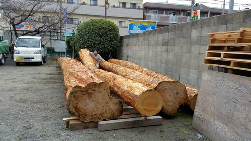 ¤´¤í¤ó¤Ü£¶