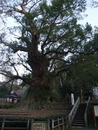 ³÷À¸¤ÎÂ祯¥¹£¸