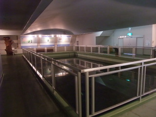 ËäË×ÎÓÇîʪ´Û£±£µ