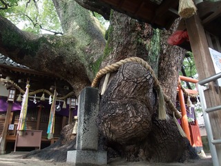 ·°³¸¾À¡¡£¶