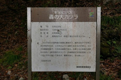 ʼ�˸������ ����祫�ĥ� 15