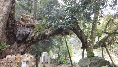 ��¿���������ܰ�Υ�����������