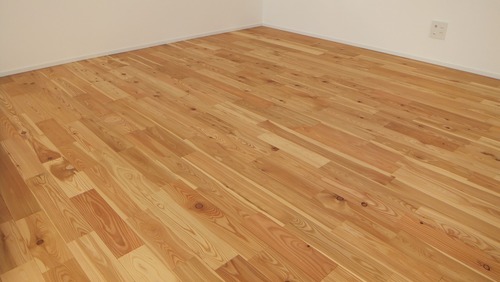 ԥ奢顼TENKARA˥ͥåɥ졼ɣ