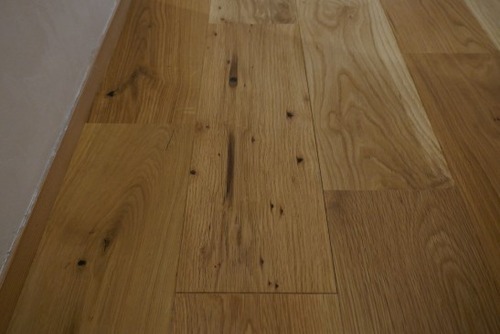 ����������������̵���ե������ �ͥ����åɥ��졼�ɡ�20