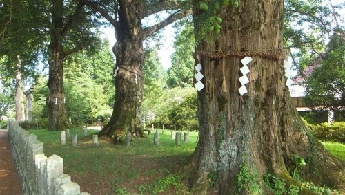 ���֤Υϥ������䣱��