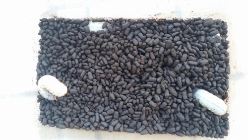 ¥«¥Ö¥È¥à¥·£²