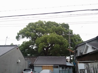 »°¹ñ¤Î¾À¡¡£³