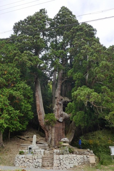 ʼ�˸�ī��� �羭��������