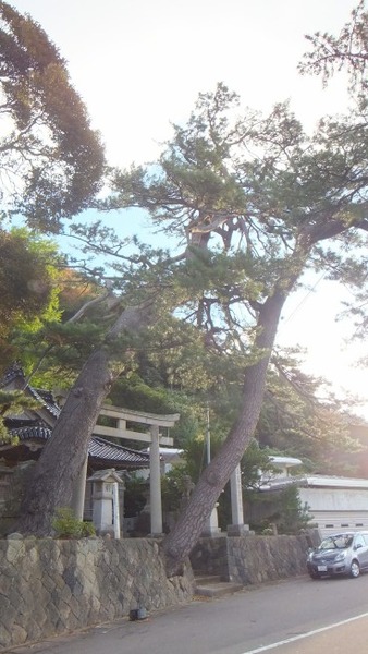 ��ָ����ȿ��Ҥξ�����