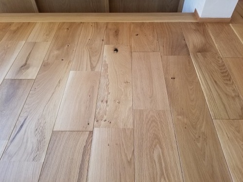 ����������������̵���ե������ �ͥ����åɥ��졼�ɡ���