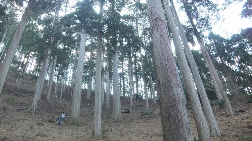 ��ˤξڿͣ���