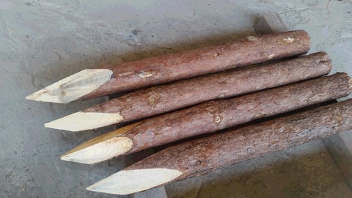 �Ͼ���������