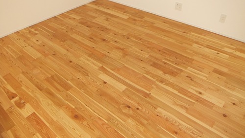 ԥ奢顼TENKARA˥ͥåɥ졼ɣ