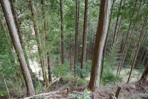 �绳�򻳿��Ҥν��׿��ʤᤪ�Ȥ����ˣ�_ks