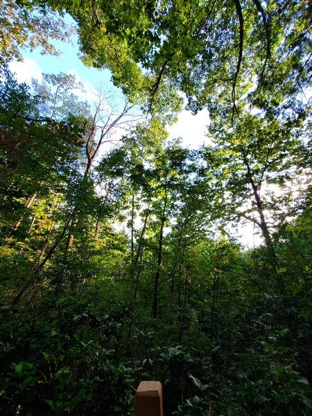 °éÀ®ÌÚÁªÄꣲ