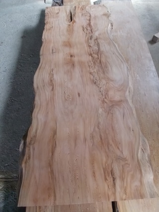 ���׿���ŷ�ġ���