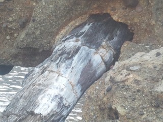 �纬���Ⱥ����η����ڡ���