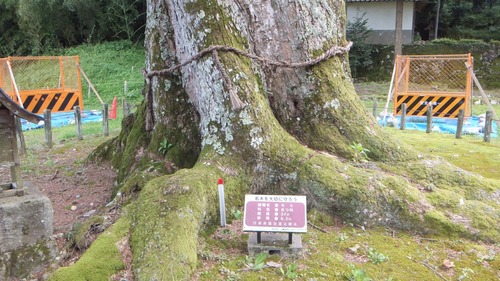 Äɼê¿À¼Ò¤ÎÀéǯ¥â¥ß£±